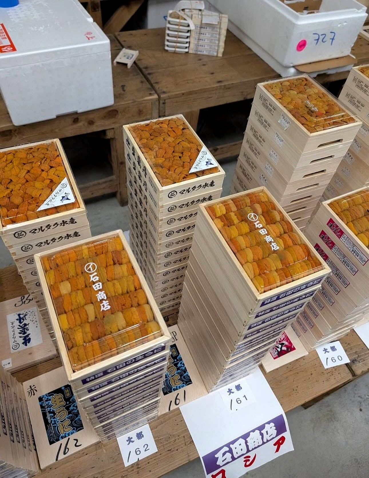 Fresh uni trays at a Japanese seafood market